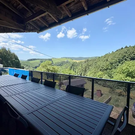 Large House With Garden And Terrace In Lapoutroie